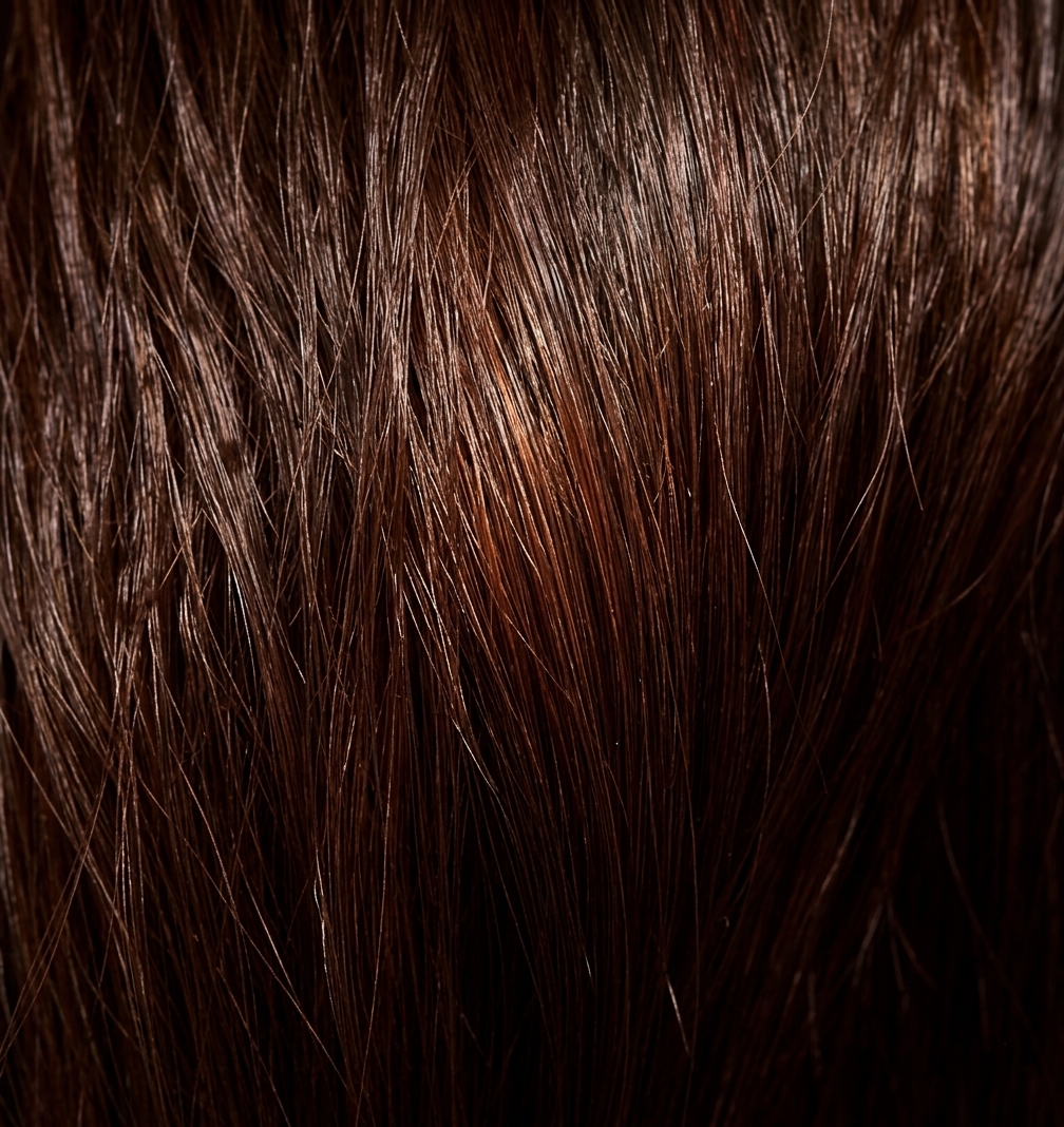 Curl couture 2.1 Ponytails