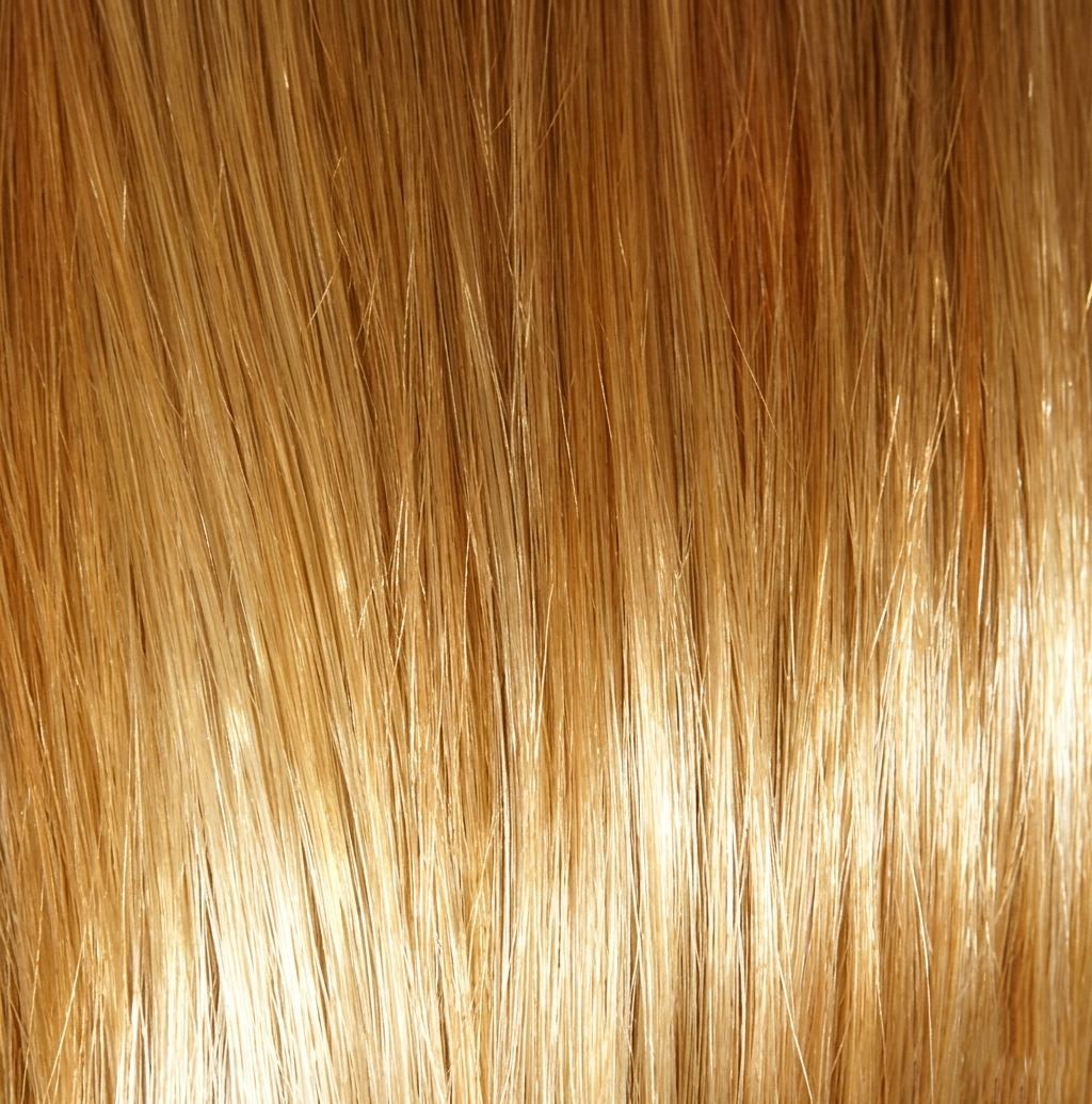 Curl couture 2.1 Ponytails